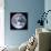 Earth View from Apollo 17 Moon Mission-null-Stretched Canvas displayed on a wall