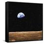 Earth-null-Framed Stretched Canvas