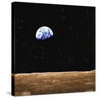 Earth-null-Stretched Canvas