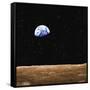 Earth-null-Framed Stretched Canvas