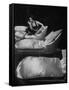 Eartha Kitt, Sitting on Chaise in Scene from New Faces-Ralph Morse-Framed Stretched Canvas