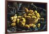 Earthen Bowls-Vincent van Gogh-Framed Art Print