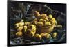 Earthen Bowls-Vincent van Gogh-Framed Art Print