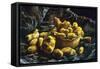 Earthen Bowls-Vincent van Gogh-Framed Stretched Canvas