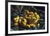 Earthen Bowls-Vincent van Gogh-Framed Art Print