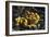 Earthen Bowls-Vincent van Gogh-Framed Art Print