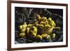 Earthen Bowls-Vincent van Gogh-Framed Art Print