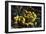 Earthen Bowls-Vincent van Gogh-Framed Art Print