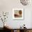 Earthen Ovals II-Jennifer Goldberger-Stretched Canvas displayed on a wall