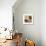 Earthen Ovals II-Jennifer Goldberger-Stretched Canvas displayed on a wall