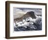 Earthquake And Tidal Wav-null-Framed Giclee Print