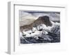 Earthquake And Tidal Wav-null-Framed Giclee Print