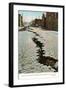 Earthquake Cracked Street-null-Framed Art Print