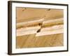 Earthquake Fault Line in Roadcut, Interstate 40, Kingman, Arizona, USA-Richard Cummins-Framed Photographic Print