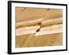 Earthquake Fault Line in Roadcut, Interstate 40, Kingman, Arizona, USA-Richard Cummins-Framed Photographic Print