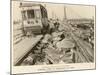 Earthquake in Japan 1923-null-Mounted Photographic Print