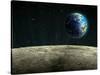 Earthrise from the Moon, Artwork-null-Stretched Canvas