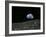 Earthrise Photograph, Artwork-Richard Bizley-Framed Photographic Print