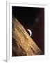 Earthrise Seen from Surface of the Moon, Apollo Mission, 1969-null-Framed Photographic Print