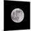 Earths Moon-Steve Gadomski-Mounted Photographic Print