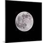 Earths Moon-Steve Gadomski-Mounted Photographic Print