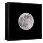 Earths Moon-Steve Gadomski-Framed Stretched Canvas