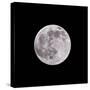 Earths Moon-Steve Gadomski-Stretched Canvas