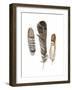 Earthtone Feathers I-Alicia Ludwig-Framed Art Print