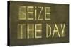 Earthy Background And Design Element Depicting The Words "Seize The Day"-nagib-Stretched Canvas