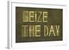 Earthy Background And Design Element Depicting The Words "Seize The Day"-nagib-Framed Art Print