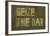 Earthy Background And Design Element Depicting The Words "Seize The Day"-nagib-Framed Art Print