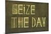 Earthy Background And Design Element Depicting The Words "Seize The Day"-nagib-Mounted Art Print