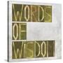 Earthy Background Image And Design Element Depicting The Words "Words Of Wisdom"-nagib-Stretched Canvas