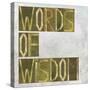 Earthy Background Image And Design Element Depicting The Words "Words Of Wisdom"-nagib-Stretched Canvas