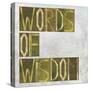 Earthy Background Image And Design Element Depicting The Words "Words Of Wisdom"-nagib-Stretched Canvas