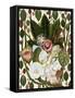 Earthy Blooms.Png-giovanna nicolo-Framed Stretched Canvas