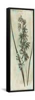 Earthy Floral Mate-Jace Grey-Framed Stretched Canvas