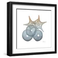 Earthy Hues Sea Urchin and Starfish-Albert Koetsier-Framed Art Print