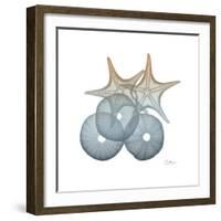 Earthy Hues Sea Urchin and Starfish-Albert Koetsier-Framed Art Print