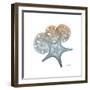 Earthy Hues Starfish and Sand Dollar-Albert Koetsier-Framed Art Print