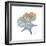 Earthy Hues Starfish and Sand Dollar-Albert Koetsier-Framed Art Print