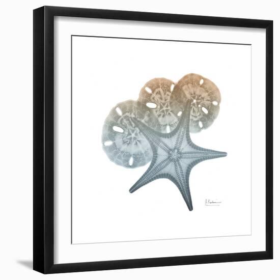 Earthy Hues Starfish and Sand Dollar-Albert Koetsier-Framed Art Print