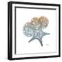 Earthy Hues Starfish and Sand Dollar-Albert Koetsier-Framed Art Print