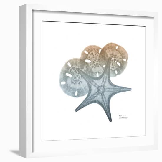 Earthy Hues Starfish and Sand Dollar-Albert Koetsier-Framed Art Print