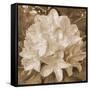 Earthy May Flower-Sheldon Lewis-Framed Stretched Canvas