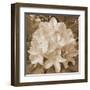 Earthy May Flower-Sheldon Lewis-Framed Art Print