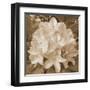 Earthy May Flower-Sheldon Lewis-Framed Art Print