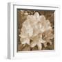 Earthy May Flower-Sheldon Lewis-Framed Art Print