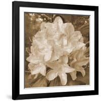 Earthy May Flower-Sheldon Lewis-Framed Art Print