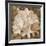 Earthy May Flower-Sheldon Lewis-Framed Art Print